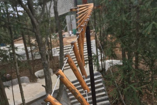 景区穿越丛林设备